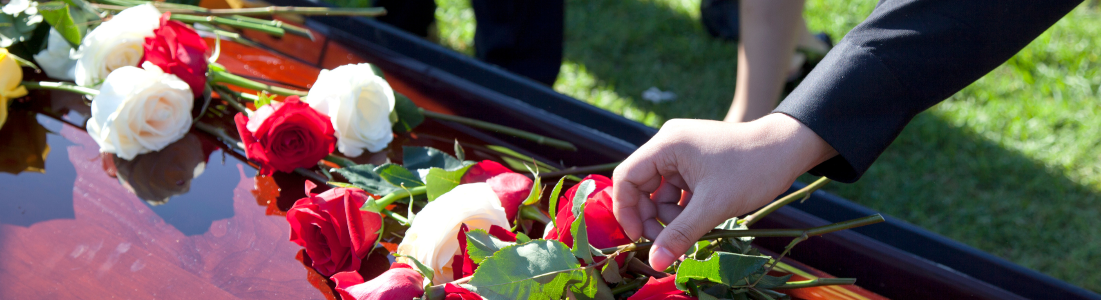 a hand laying flowers on a casket outdoors